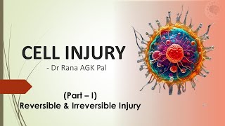 Cell Injury Pathology Part 1  Reversible amp Irreversible Injury [upl. by Woodall561]