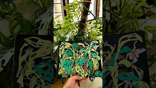 Painting Monstera livepaint illustration monsteraplant sketchbook paintwithme [upl. by Nosnirb]