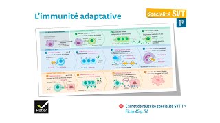 eSVT La réaction immunitaire adaptative [upl. by Assele]