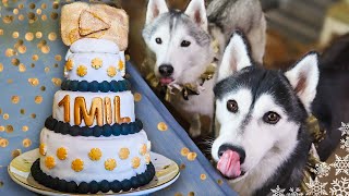 EPIC Cake For Dogs To Celebrate One Million  DIY Dog Treats [upl. by Arrais]