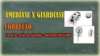 Amebíase e Giardíase correção do local de ação da Giardia [upl. by Lundell439]