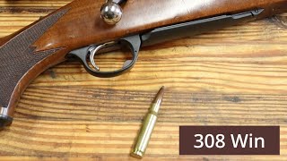 308 Winchester Workhorse of The Shooting World [upl. by Accalia486]