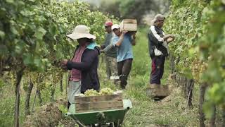 La Agropecuaria una oferta atractiva para estudiar y trabajar [upl. by Dralliw421]