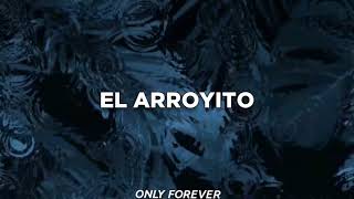 Fonseca  El arroyito Letra [upl. by Attenev]