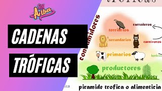 Cadenas TRÓFICAS o alimentarias 🐯 𝖕𝖗𝖔𝖉𝖚𝖈𝖙𝖔𝖗𝖊𝖘 𝖈𝖔𝖓𝖘𝖚𝖒𝖎𝖉𝖔𝖗𝖊𝖘 𝖉𝖊𝖘𝖈𝖔𝖒𝖕𝖔𝖓𝖊𝖉𝖔𝖗𝖊𝖘 [upl. by Avert789]