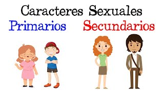 💥 Caracteres sexuales Primarios y Secundarios 💥 Fácil y Rápido  BIOLOGÍA [upl. by Martguerita]