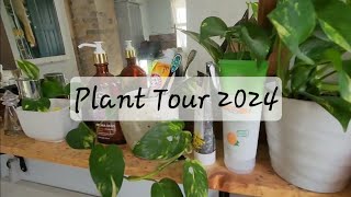 Houseplant Tour 2024 [upl. by Nneb]