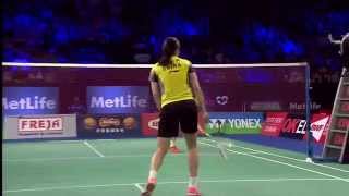 2014 YONEX DENMARK OPEN  F WS  Li X R 1 CHN VS Wang Y H 3 CHN [upl. by Alios496]