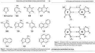 The Chemistry of DNA Replication How Hydrogen Bonds and Base Stacking Ensure Genetic Fidelity [upl. by Miof Mela]