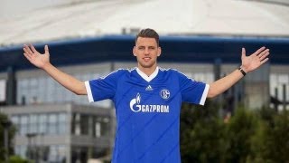 Adam Szalai  New Schalke 04 Striker  Goals  Skills 2013 HD [upl. by Silado]