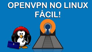 OpenVPN pra Linux Qual melhor Cliente fácil e rápido [upl. by Gwen904]