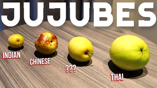 Jujubes  What are they and what are the different types Chinese Thai amp Indian Jujube [upl. by Aicak]