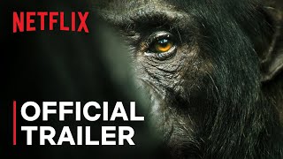 Chimp Empire  Mahershala Ali  Official Trailer  Netflix [upl. by Ardnuas]