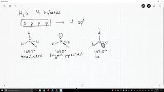 hybridization water sp3 [upl. by Esalb801]