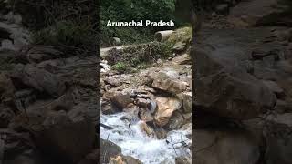 Arunachal Pradesh Tourism [upl. by Hajan]