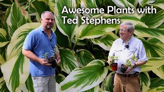 I had to bring these plants home  Ted Stephens  Nurseries Caroliniana Tour [upl. by Berhley589]