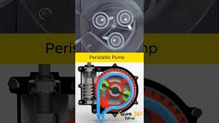 How Does a Peristaltic Pump Work Understanding the Precision and Efficiency of This Pumping System [upl. by Htidirrem]