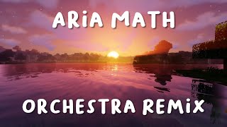 C418  Aria Math Orchestral Remix [upl. by Kellen]