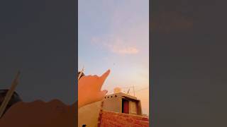 Kiteflying loot water tank ki chhat se patang loot li 🥰kiteflying loot shorts viralvideo [upl. by Kai]