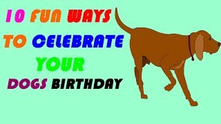 10 fun ways to celebrate your dogs birthday [upl. by Belding]