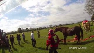 Avon Fire amp Rescue Service horse rescue [upl. by Ettesyl337]