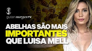 Guten Morgen TV  Abelhas são mais importantes que Luisa Mell [upl. by Ahseuqram]