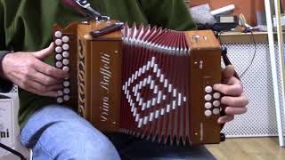 May Reel  Anahata melodeon [upl. by Lecroy]