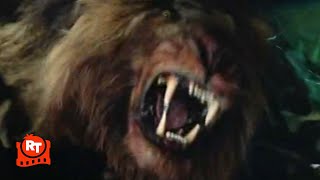 Beast 2022  Burning the Lion Scene  Movieclips [upl. by Hadeis]