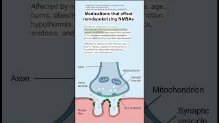 Medications that affect nondepolarizing NMBAs [upl. by Casaleggio]