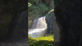 The Falls at Tumwater falls Park aka Brewery park [upl. by Maurilia]