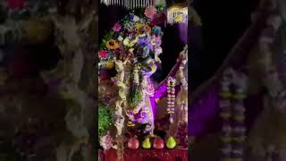 JayShreeKrishna janmashtami mandir darshan chicagovlog iskcon iskcontemple 2024 viralvideo [upl. by Latonia]