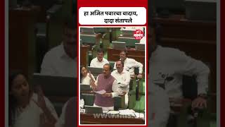 Ajit Pawar in Vidhan Sabha  असा तसा वादा नाहीये अजित पवारांचा जनतेला शब्द [upl. by Ayikat]