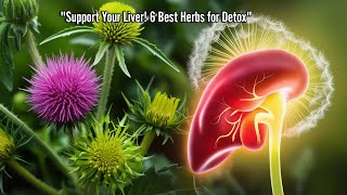 quotLiver Detox 101 6 Best Herbs to Cleanse amp Support Your Liverquot [upl. by Paryavi]