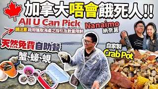 加拿大唔會餓死人 免費海鮮自助餐 蟹、蠔、蜆 All You Can Pick 需申請牌及遵守地區及數量限制  Nanaimo 納奈莫  自家製Crab Pot  中英文字幕 [upl. by Einnek]