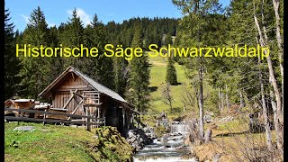 Historische Säge Schwarzwaldalp [upl. by Niraa]