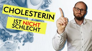 Cholesterin senken ist NICHT immer gut  WICHTIGE Aufgaben [upl. by Orlosky]