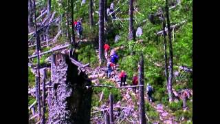 Pro Nationalpark Schwarzwald zeigt den Nationalpark Bayerischer Wald [upl. by Kerge158]