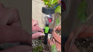 Cute DIY Hummingbird Feeder amp Nectar Recipe for Hummingbirds Easy to Make for Garden Birds Love It [upl. by Helenka560]