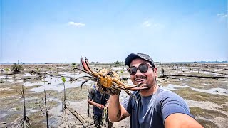 MENEMUKAN LOBANG BERISI KEPITING BESAR [upl. by Croner742]