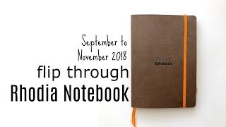 Whats in my Rhodia Bullet Journal planner amp collections [upl. by Riorsson]