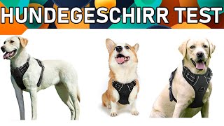 ᐅ Hundegeschirr Test 2023  Beste Hundegeschirre [upl. by Ursula]