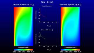 Parallel Stabilized Finite Element Simulation of Double Diffusion [upl. by Ribak395]