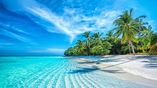 Beautiful Relaxing Music  Stop Overthinking Mind Calm Serene Seascapes for Ultimate Relaxation [upl. by Ysabel]