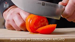 ZWILLING affilatura con acciaino [upl. by Ynots]