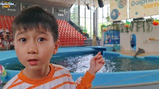 Varna Dolphinarium 🐬 불가리아 돌고래쇼 이스탄불에서 바르나 여행 국제가족 [upl. by Eicart]