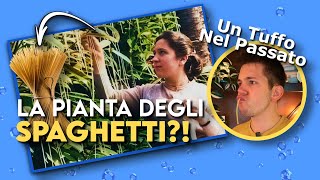 gli SPAGHETTI crescono sugli ALBERI  Spaghetti Tree Hoax [upl. by Gollin]