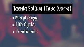 Taenia Solium Morphology Life Cycle Treatment [upl. by Kacey]