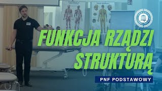 PNF Podstawowy  Jak funkcja rządzi strukturą i poprawia jakoś życia pacjentów [upl. by Acinor127]