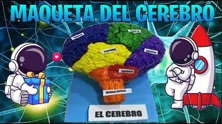 MAQUETA DEL CEREBRO [upl. by Hurlee]