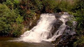 Deep Creek Waterfalls and Wildflowers Great Smoky Mountains [upl. by Parthen]